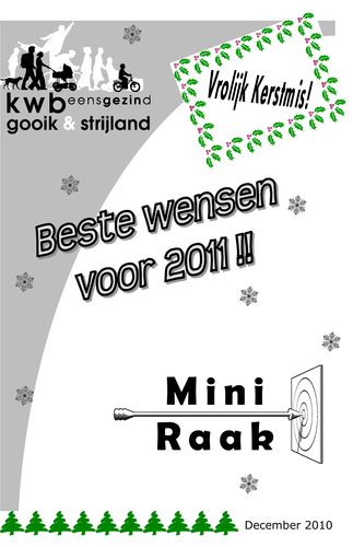 Kaft van Mini Raak 201012